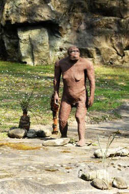 Australopithecus Afarensis heykele kayalık zemin