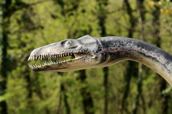 Close Up of Plesiosaurus Modelo — Fotografia de Stock