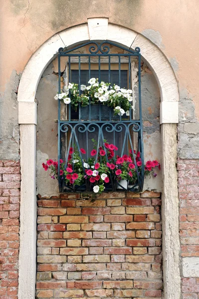 Fenêtre en arc avec barres de fer et boîtes à fleurs — Photo