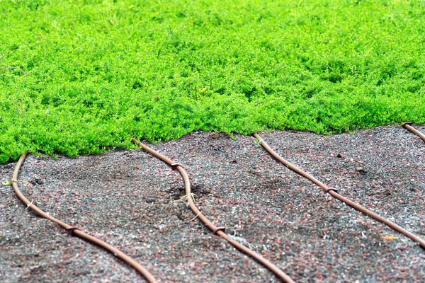 Tubos de riego en un césped o césped —  Fotos de Stock