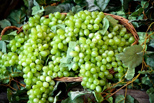 Display of bunches of fresh white grapes — Stock Photo, Image