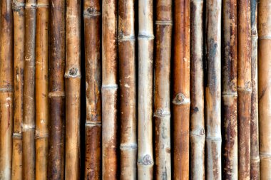 Background texture of bamboo canes clipart