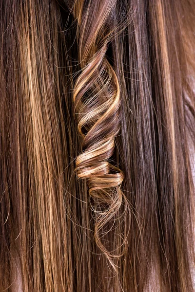 茶色の髪で単一リングレット — ストック写真