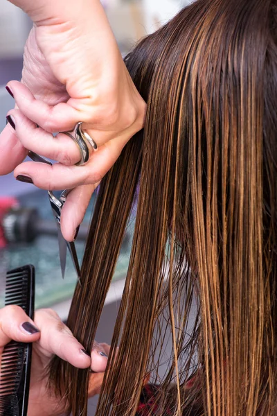 Hairdresser cutting long brown hair — Stock Photo, Image