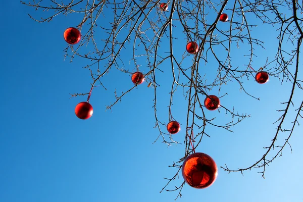 Rode kerstballen op een buiten boom — Stockfoto