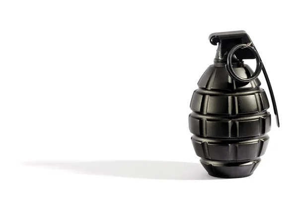 Una sola granada con espacio de copia — Foto de Stock
