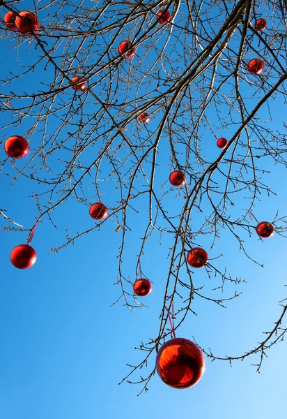 Utomhus dekorerad julgran — Stockfoto