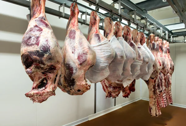Trozos grandes de carne colgando en el refrigerador — Foto de Stock