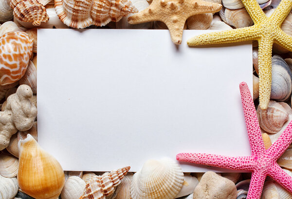 blank sheet of paper on sea Shell background