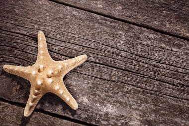 Deniz kabukları ahşap arka plan üzerinde. Deniz yıldızı