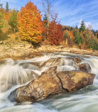 sonbahar ormandaki nehir güzel hızlı dağ