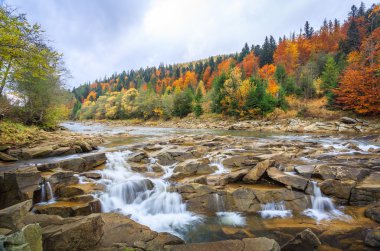 sonbahar ormandaki nehir güzel hızlı dağ