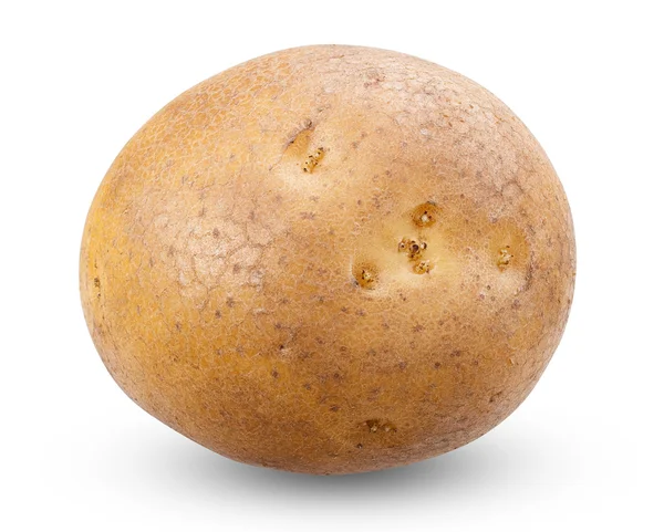 Картопля ізольована на білому тлі зі скошеною доріжкою — стокове фото