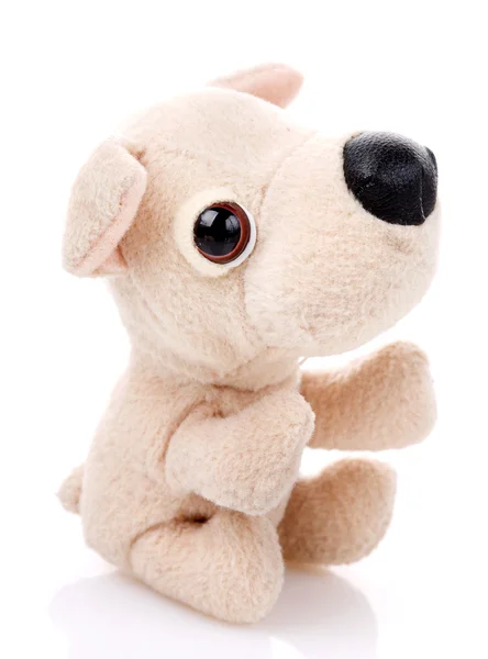 Barn leksak, mjuk teddy hund — Stockfoto