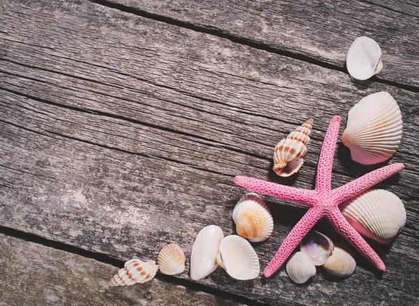 Conchas de mar sobre fondo de madera — Foto de Stock
