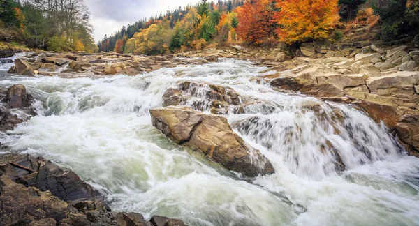 Mooie snelle berg rivier in herfst bos — Stockfoto