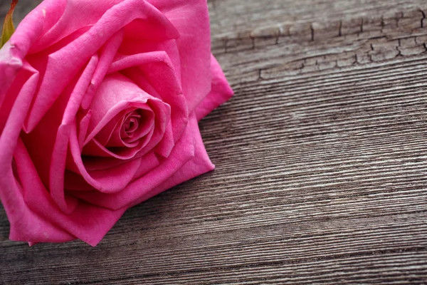 粉色玫瑰头上木制的背景 — 图库照片