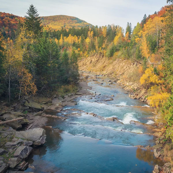 Hermoso río de montaña rápida en el bosque de otoño — Foto de Stock