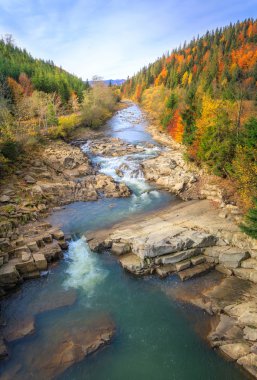 sonbahar ormandaki nehir güzel hızlı dağ