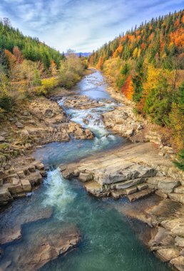 sonbahar ormandaki nehir güzel hızlı dağ