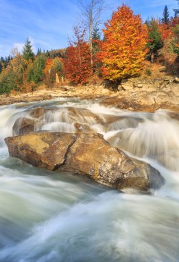 sonbahar ormandaki nehir güzel hızlı dağ