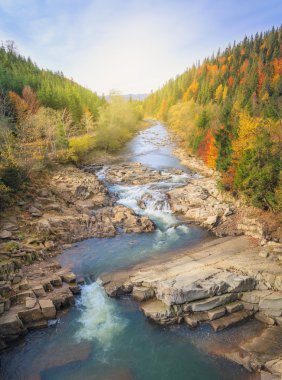 sonbahar ormandaki nehir güzel hızlı dağ