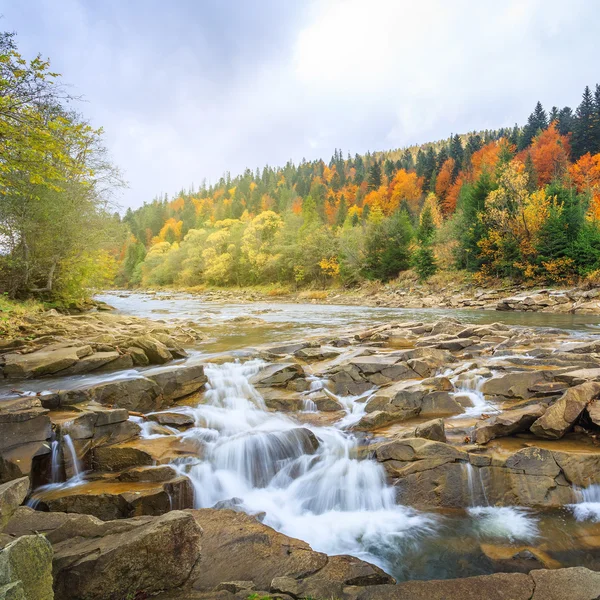 Belo rio de montanha rápido na floresta de outono — Fotografia de Stock