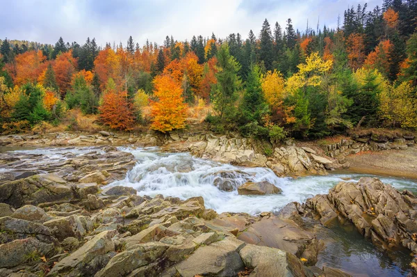 Bellissimo fiume di montagna veloce nella foresta autunnale — Foto Stock