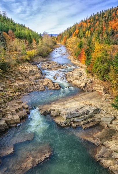 sonbahar ormandaki nehir güzel hızlı dağ