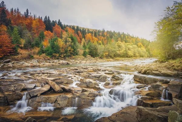 Beautiful fast mountain river in autumn forest — Stock Photo, Image