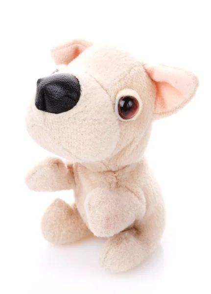 Kinderspielzeug, weicher Teddyhund — Stockfoto