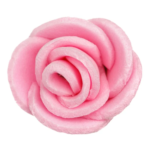 Cabeza de flor rosa aislada, hermosa decoración, concepto de primavera y verano — Foto de Stock