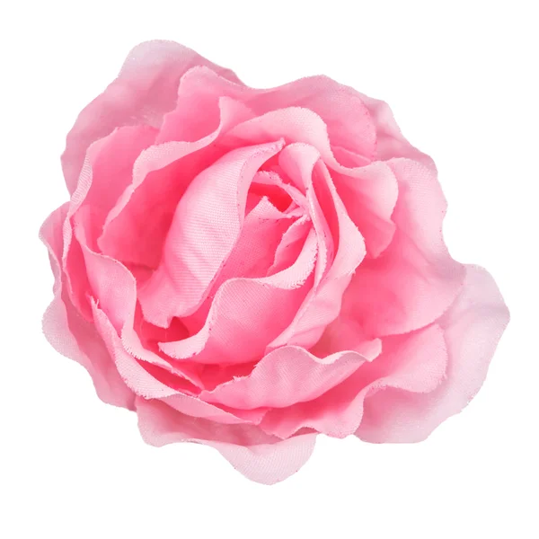 Růžová květina hlavy, samostatný, krásné dekorace, pohled shora — Stock fotografie