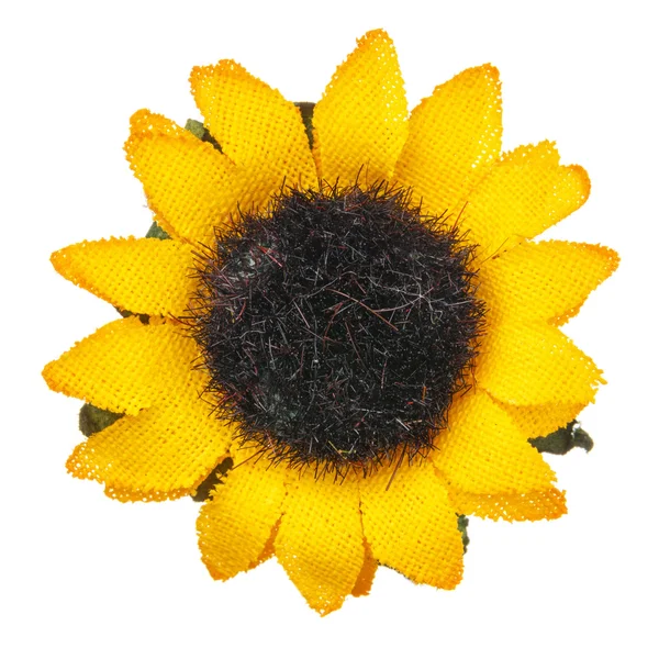 Słonecznik głowa kwiat na białym tle, piękna ozdoba — Zdjęcie stockowe