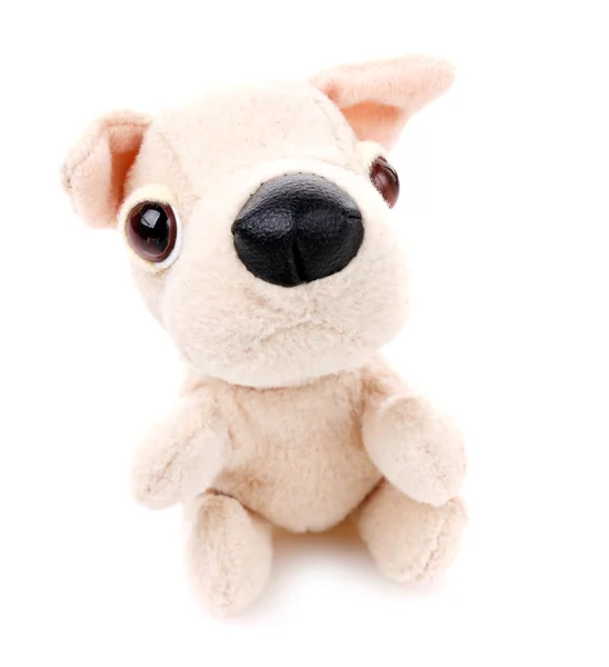 Barn leksak, mjuk teddy hund — Stockfoto