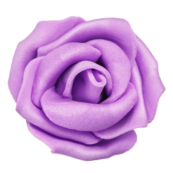 Tête de fleur violette isolée, belle décoration, vue dessus — Photo