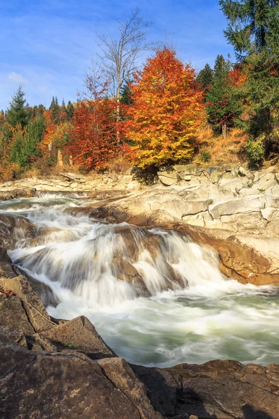 sonbahar ormandaki nehir güzel hızlı dağ