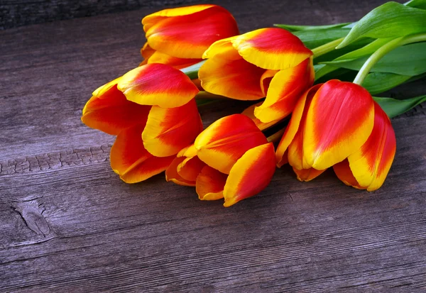 Beautiful tulips on wooden background — Stock Photo, Image