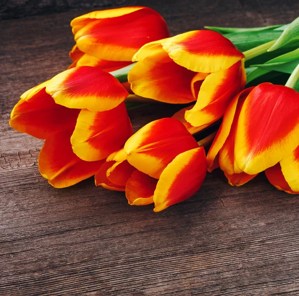 Piękne tulipany na drewnianym tle — Zdjęcie stockowe