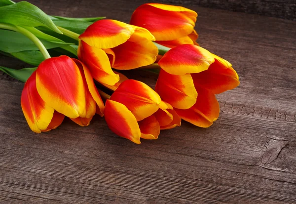 Beautiful tulips on wooden background — Stock Photo, Image