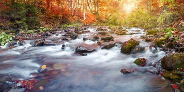 Sonbahar orman, dağ dere. Güzel, taş yosun kaplı. River rapids ve şelaleler. Karpat.