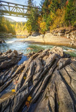 güzel dağ dere ve sonbahar ormandaki kayalık sahil