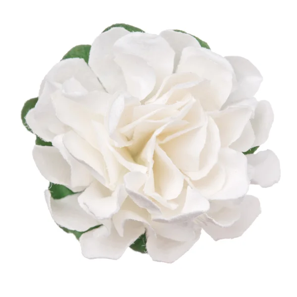 Widok z góry głowa kwiat na białym tle, dekoracjami, — Zdjęcie stockowe