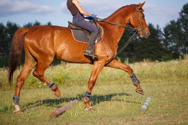 Chica montando un caballo marrón en prado verde — Foto de Stock