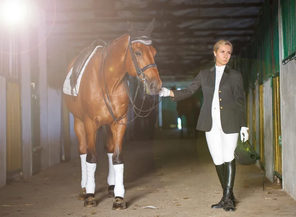 Retrato de uma menina cavaleiro em seu cavalo marrom — Fotografia de Stock