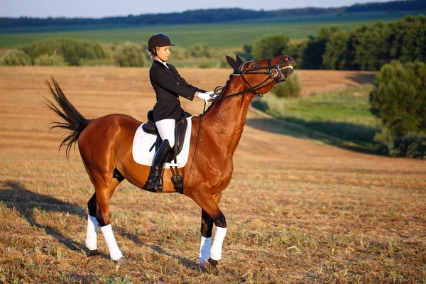 Menina jovem montando cavalo marrom usando capacete — Fotografia de Stock