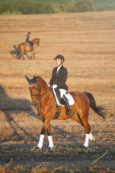 Hermosa mujer de elegancia vaquera, montando un caballo. Tiene cuerpo deportivo delgado. Naturaleza de retrato. Personas y animales. Ecuestre . — Foto de Stock