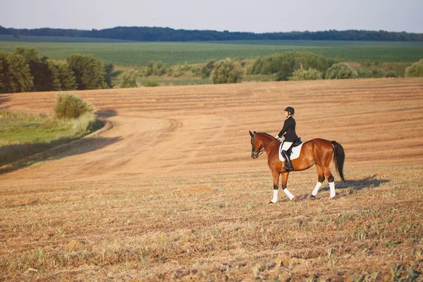 Donna in sella a un cavallo. Ragazza in casco scuro, jeans e stivali alti su animale marrone — Foto Stock