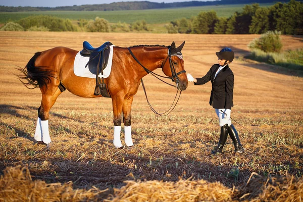 Mulher feliz com seu cavalo no fundo da natureza — Fotografia de Stock