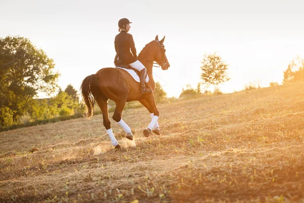 Femme chevauchant un cheval à la lumière du coucher du soleil — Photo